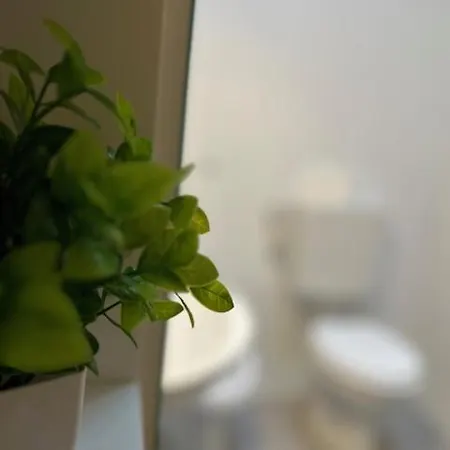 Appartement Zar 8