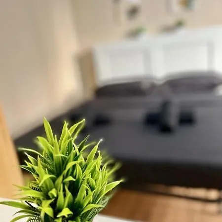 Appartement Zar 8 Triëst